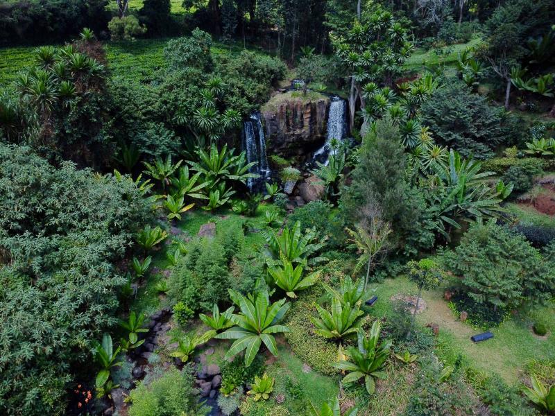 Half Acre Land for Sale in Tigoni from KSh 28M photo 5