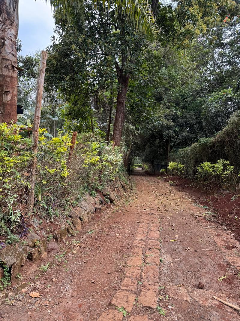 4 Bedroom House for Sale in Loresho on 0.5 Acre photo 2