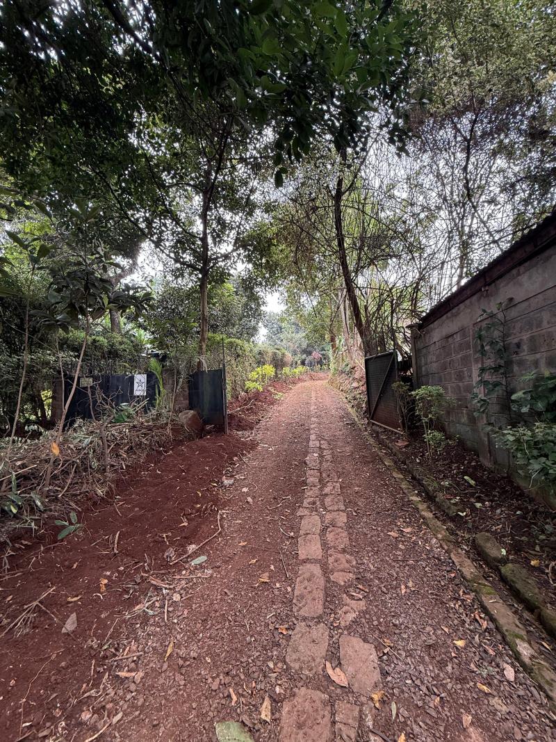 4 Bedroom House for Sale in Loresho on 0.5 Acre photo 3