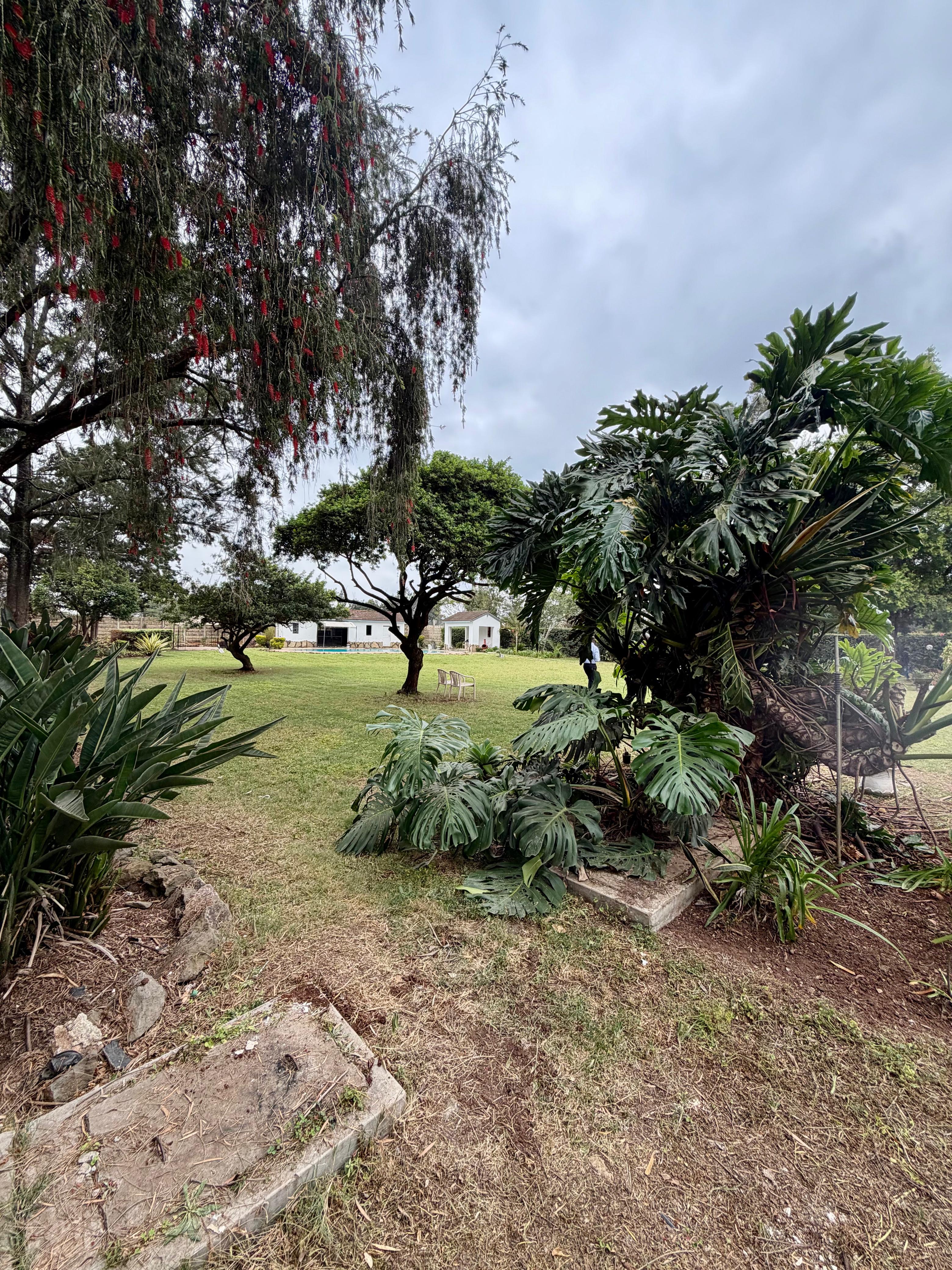 5 Bedroom House on 1 Acre with Private Pool for Rent in Karen