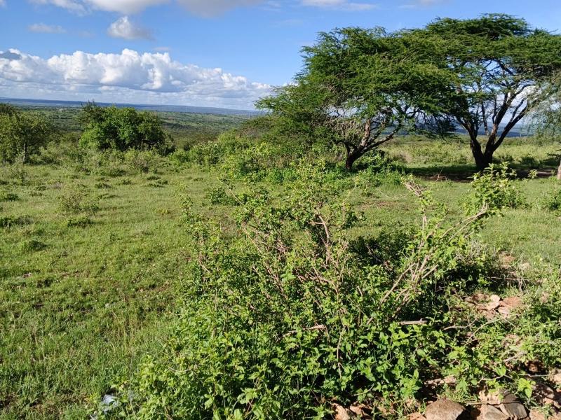 21 Acres for Sale in Kajiado – Ideal for Resort, Off-Grid Homes & Investment photo 4