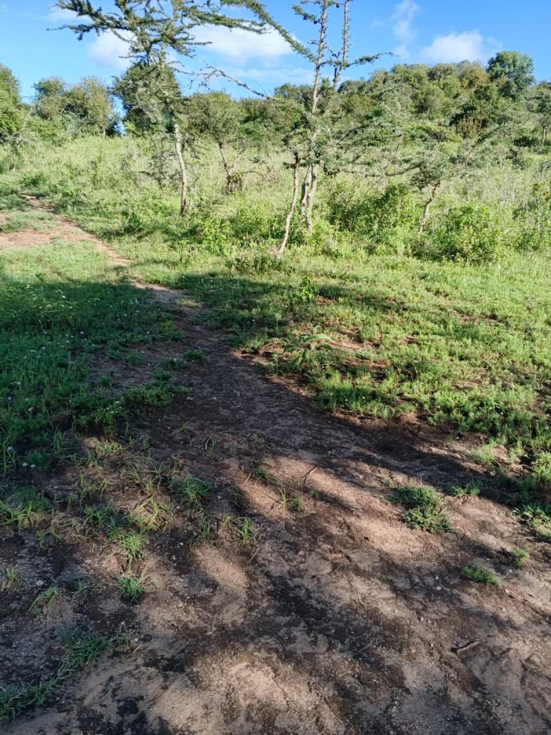 21 Acres for Sale in Kajiado – Ideal for Resort, Off-Grid Homes & Investment photo 5