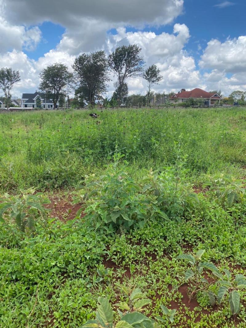 ¼ Acre Plot for Sale in Runda Whitesands – KES 25 Million photo 2