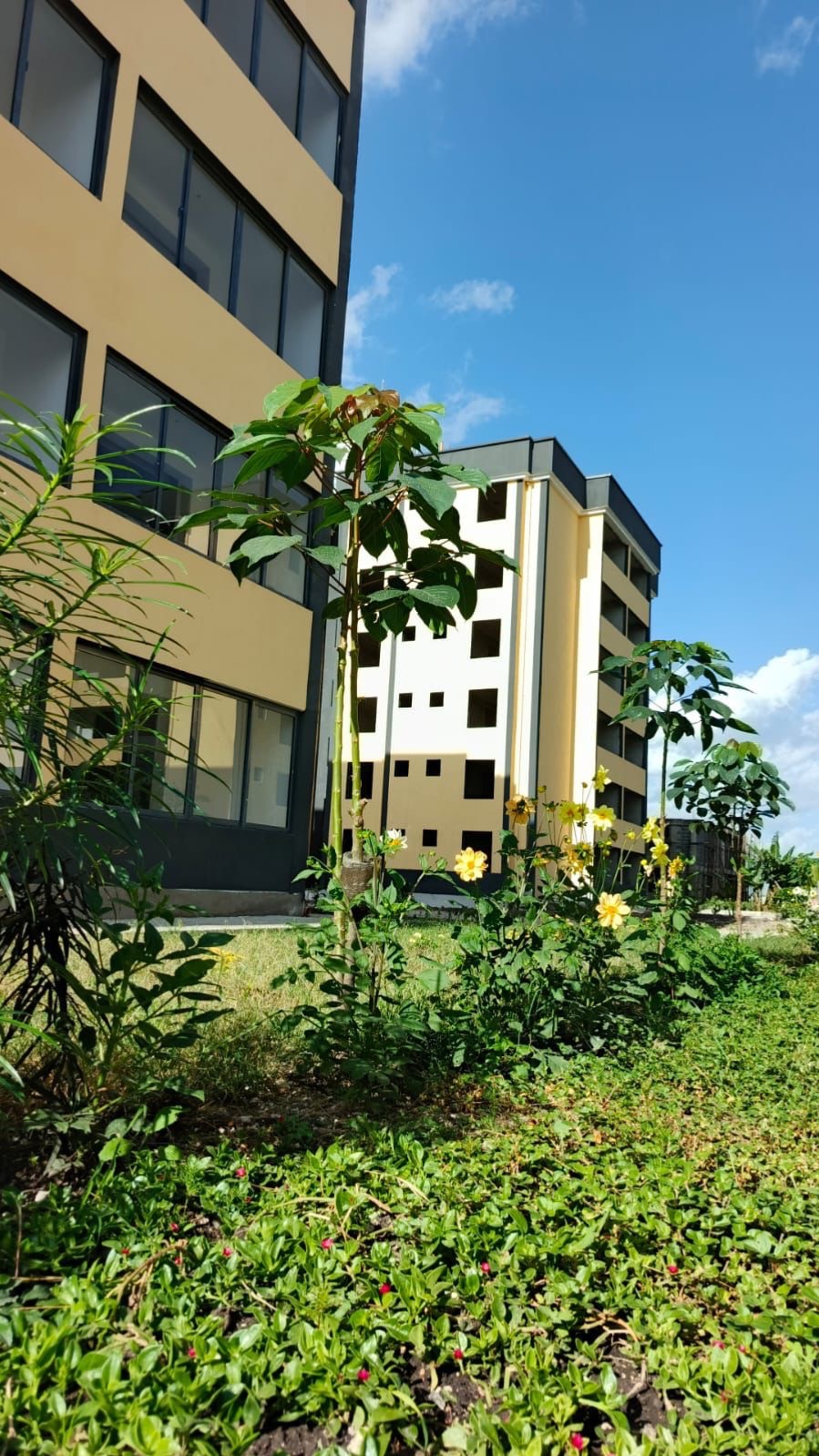 Terrain Park Kitengela Apartments for Sale in Kenya