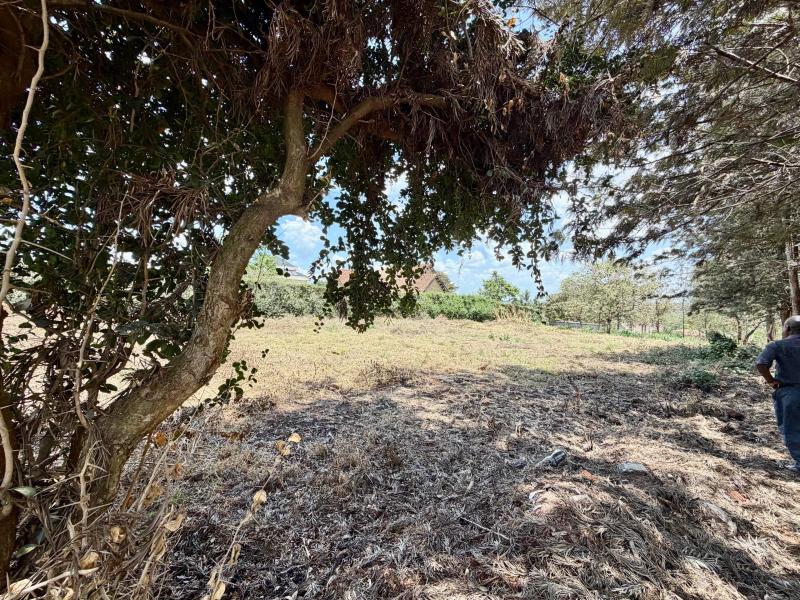 0.5 Acre Land for Sale in Old Runda, Nairobi – KES 70M photo 3
