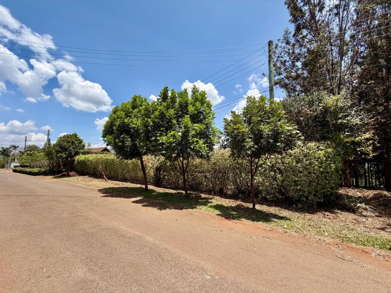 0.5 Acre Land for Sale in Old Runda, Nairobi – KES 70M photo 4