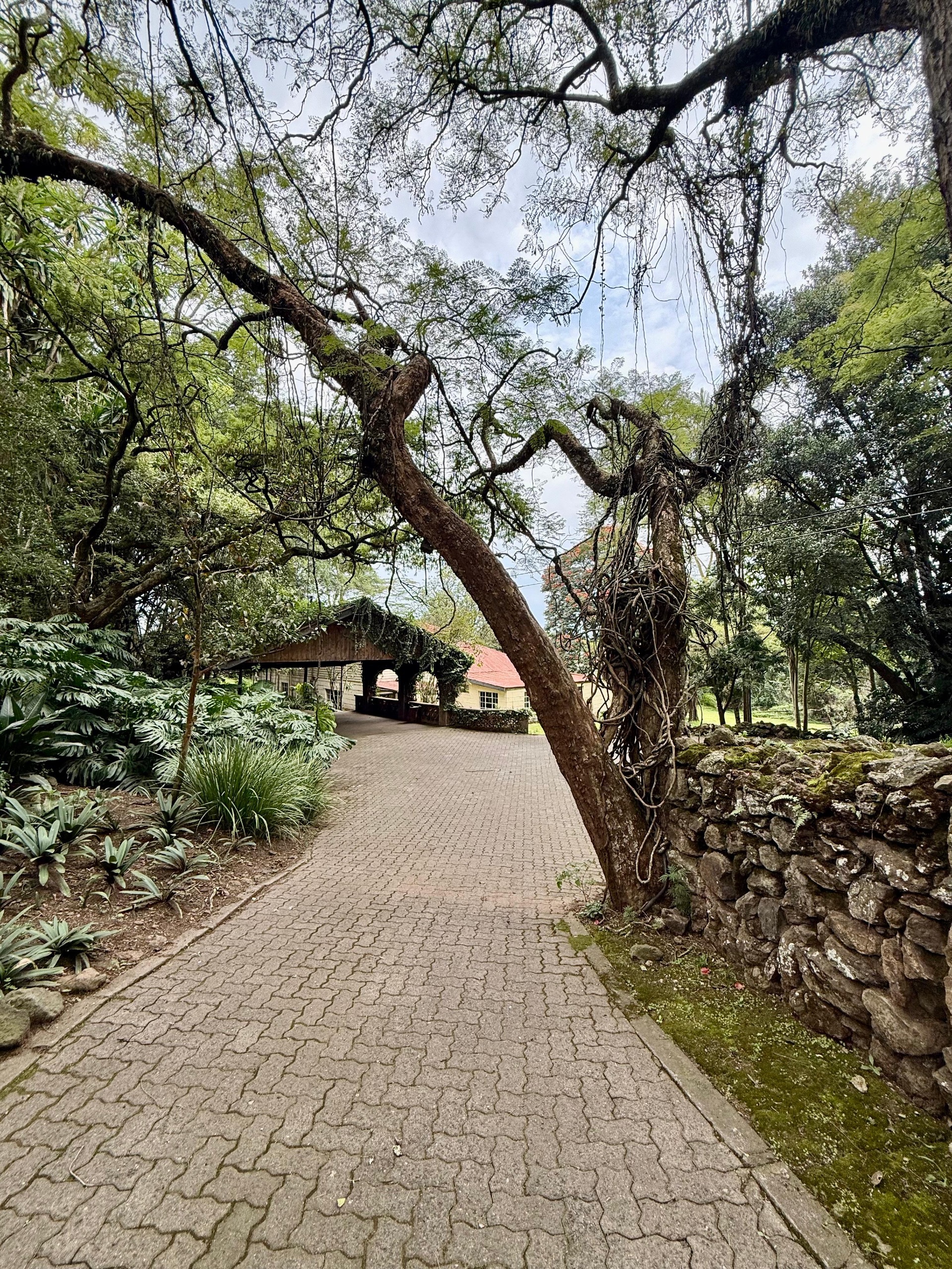 20 Acres of Land for Sale in Lanet, Nakuru – KES 40M Per Acre