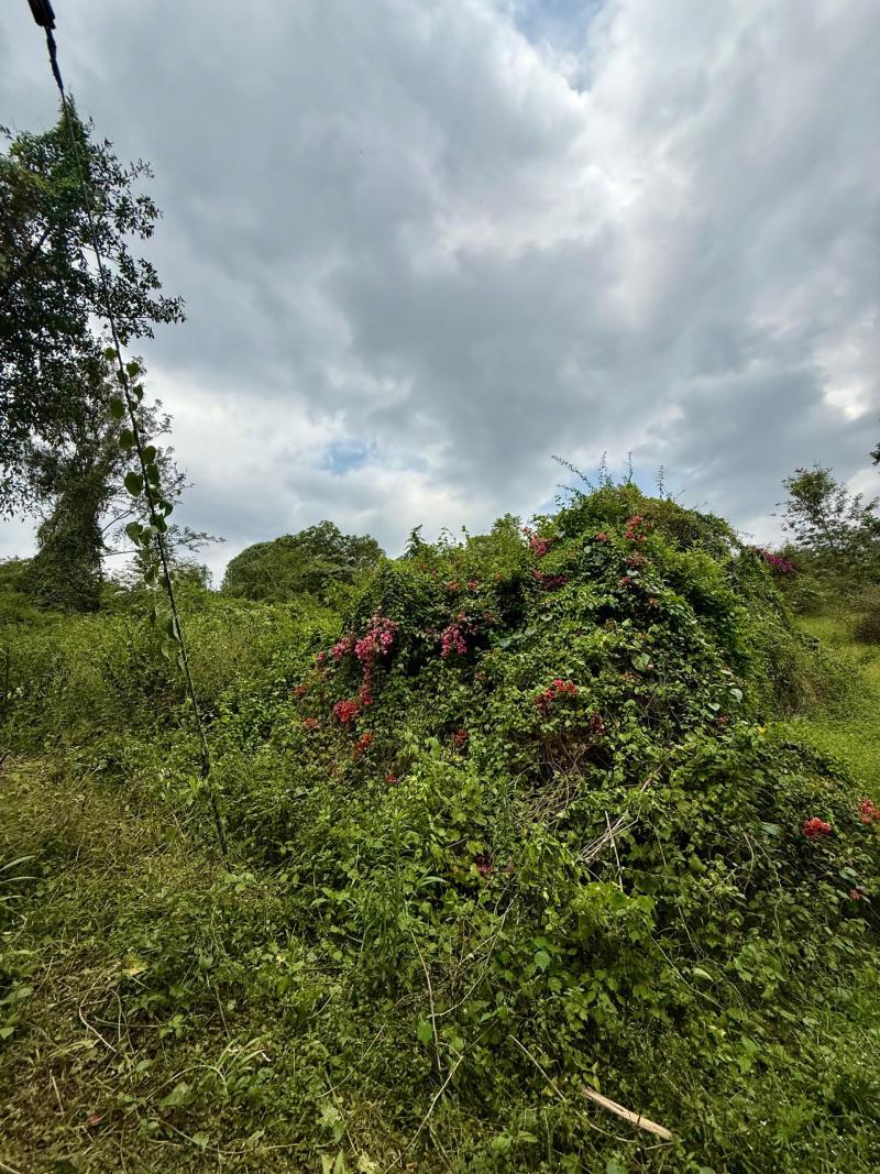 20 Acres of Land for Sale in Lanet, Nakuru – KES 40M Per Acre photo 4
