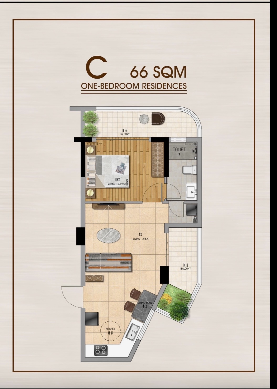 C66