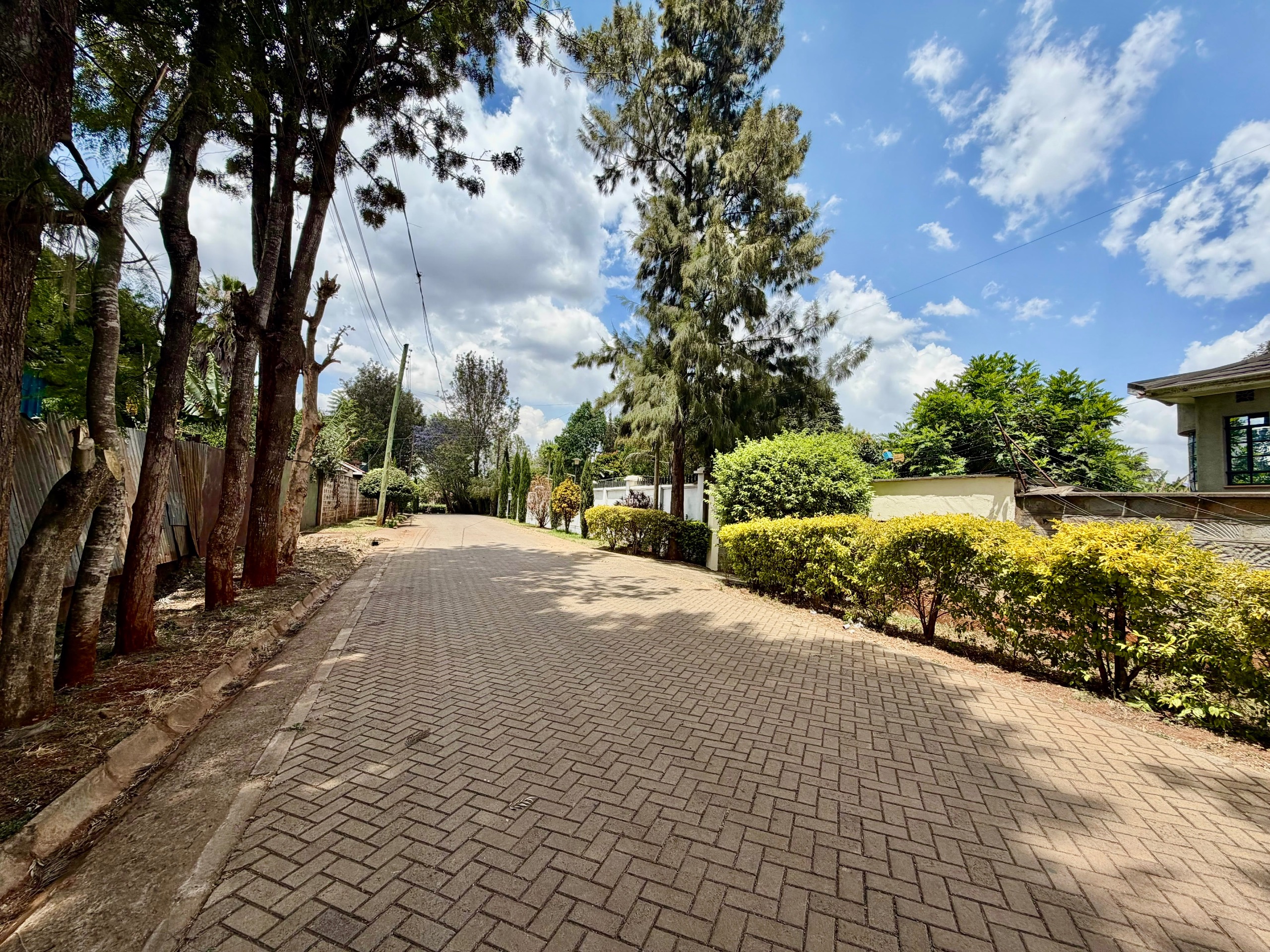 0.5-Acre Plot for Sale on Ndege Road, Nairobi – KES 65 Million