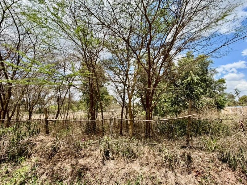 0.5 acre land for sale in Karen photo 1