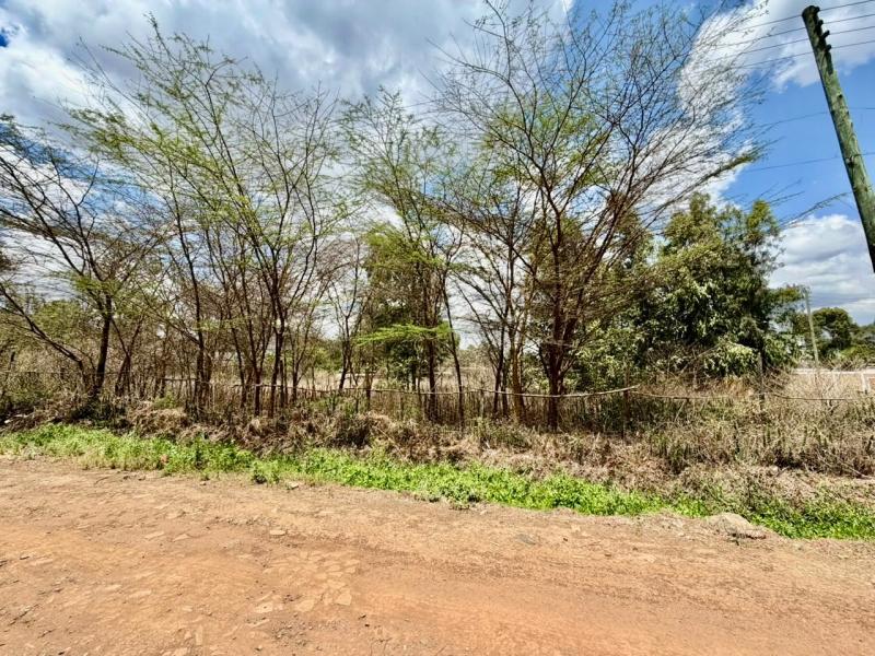 0.5 acre land for sale in Karen photo 2