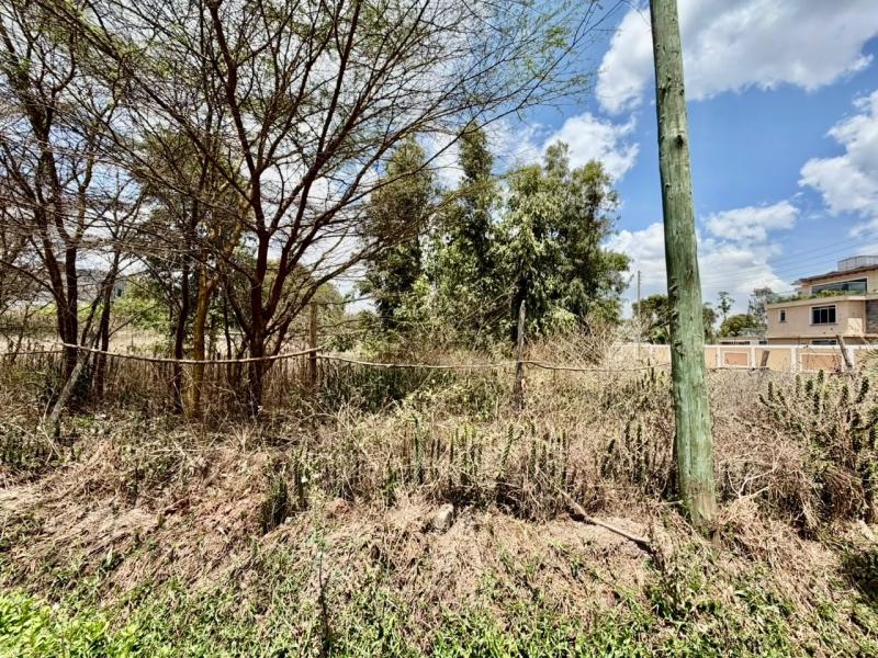 0.5 acre land for sale in Karen photo 3
