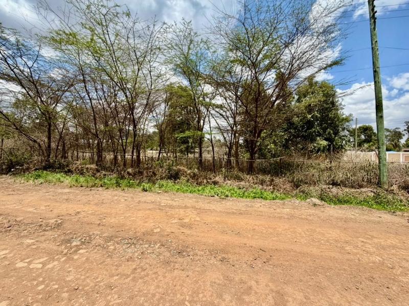 0.5 acre land for sale in Karen photo 4