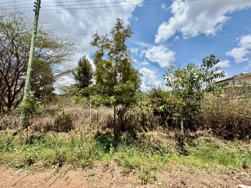 0.5 acre land for sale in Karen photo 5