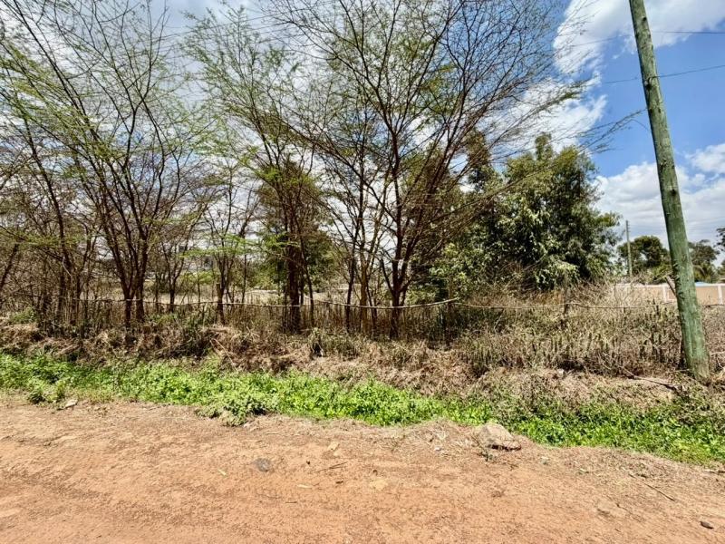0.5 acre land for sale in Karen photo 6