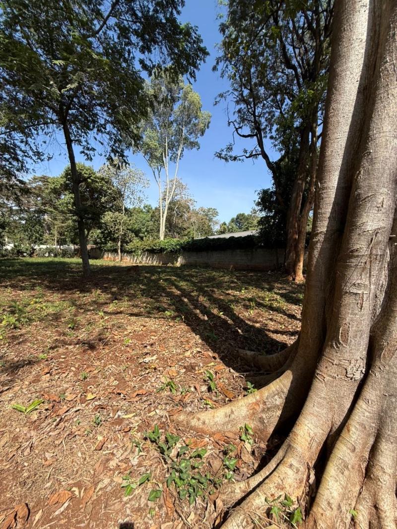 1 Acre Prime Land for Sale in Thigiri, Nairobi – KSh 204M photo 5